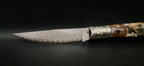 COLTELLO ARTIGIANALE IN STILE DORGALESE